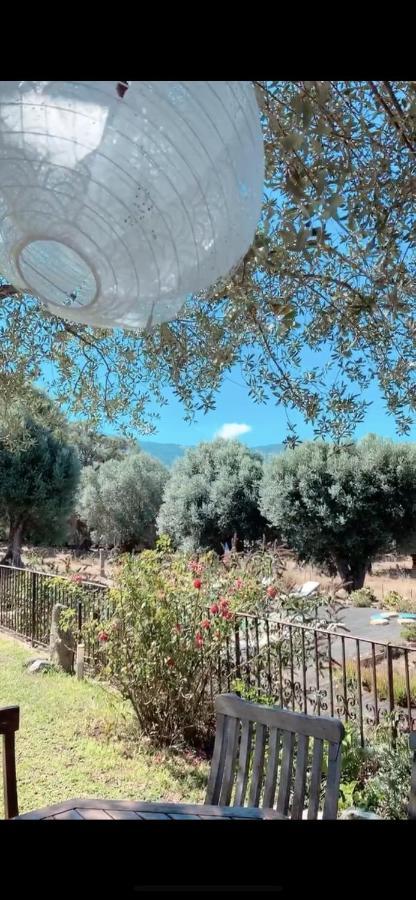 הוילה Sollacaro Domaine De Tappa - Casa Filicina מראה חיצוני תמונה