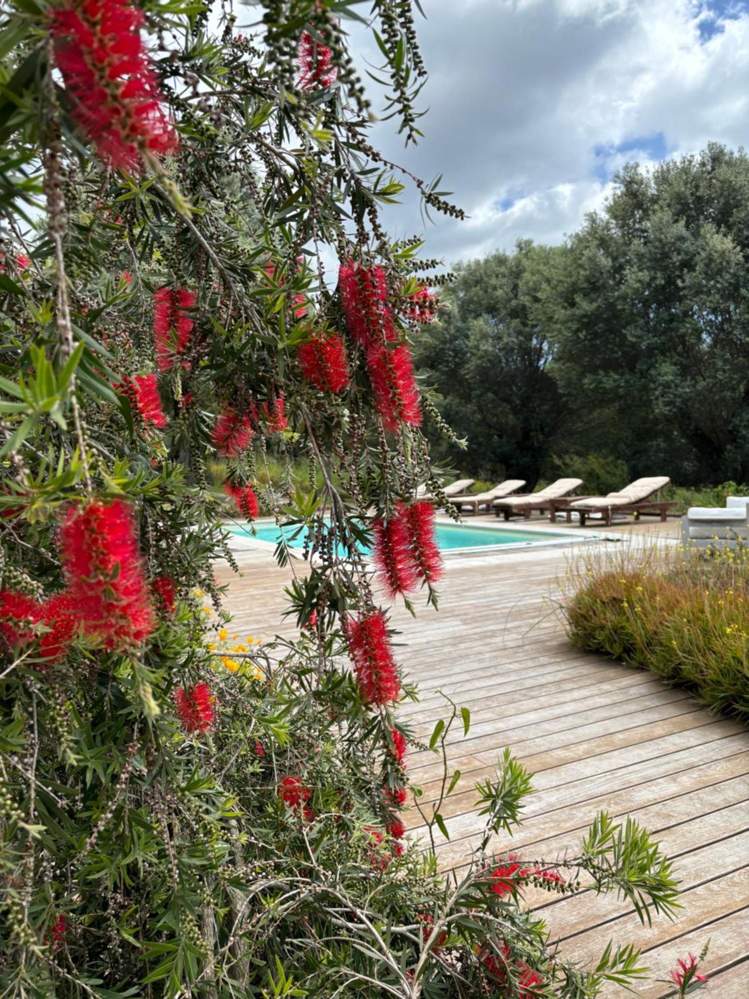 הוילה Sollacaro Domaine De Tappa - Casa Filicina מראה חיצוני תמונה