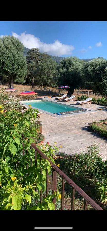 הוילה Sollacaro Domaine De Tappa - Casa Filicina מראה חיצוני תמונה