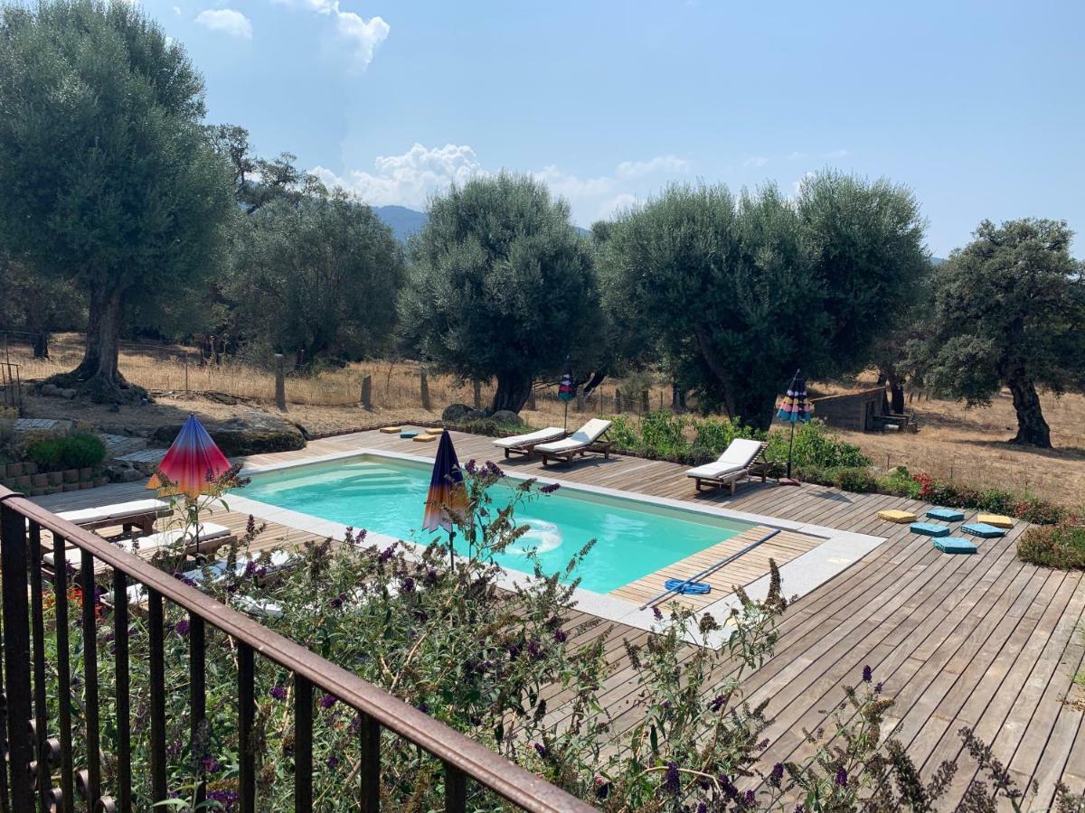 הוילה Sollacaro Domaine De Tappa - Casa Filicina מראה חיצוני תמונה